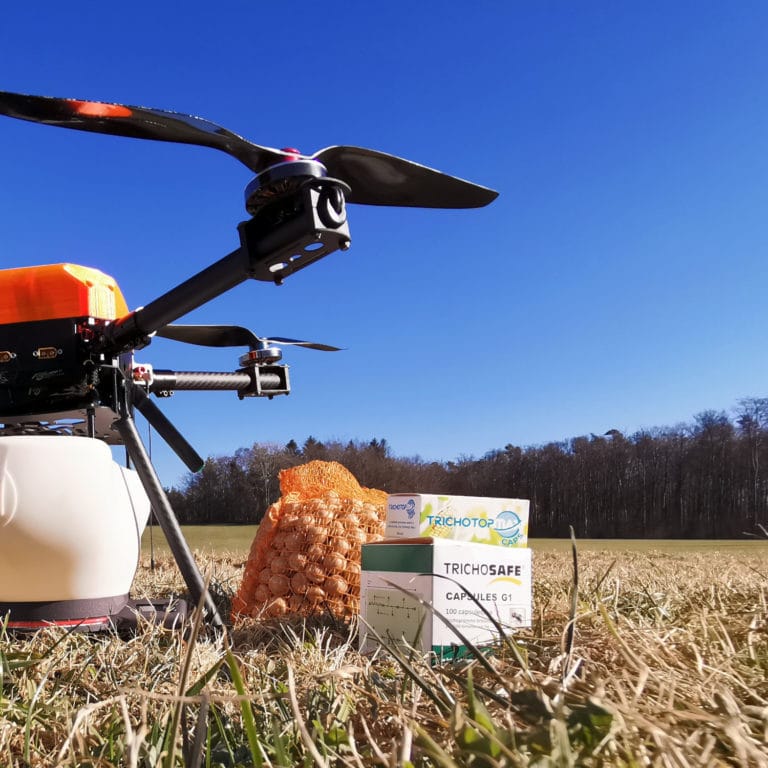 aplicación del tricograma mediante un dron