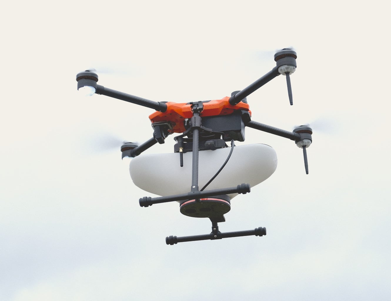 Largage trichogramme